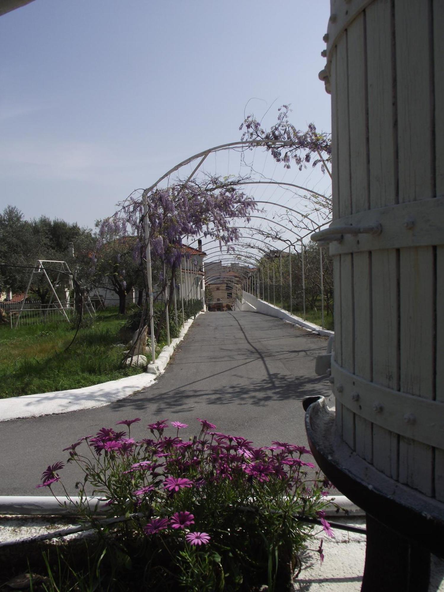 Riviera Apartments Pietra Ligure Luaran gambar