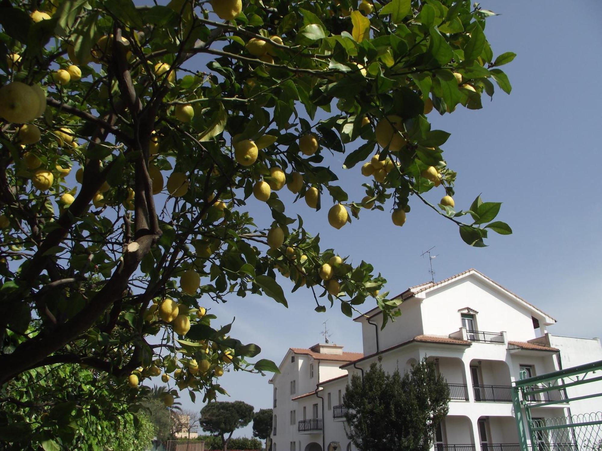 Riviera Apartments Pietra Ligure Luaran gambar